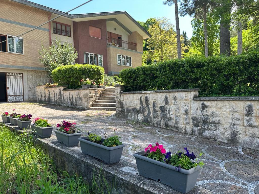 Villa Olga Cese Экстерьер фото