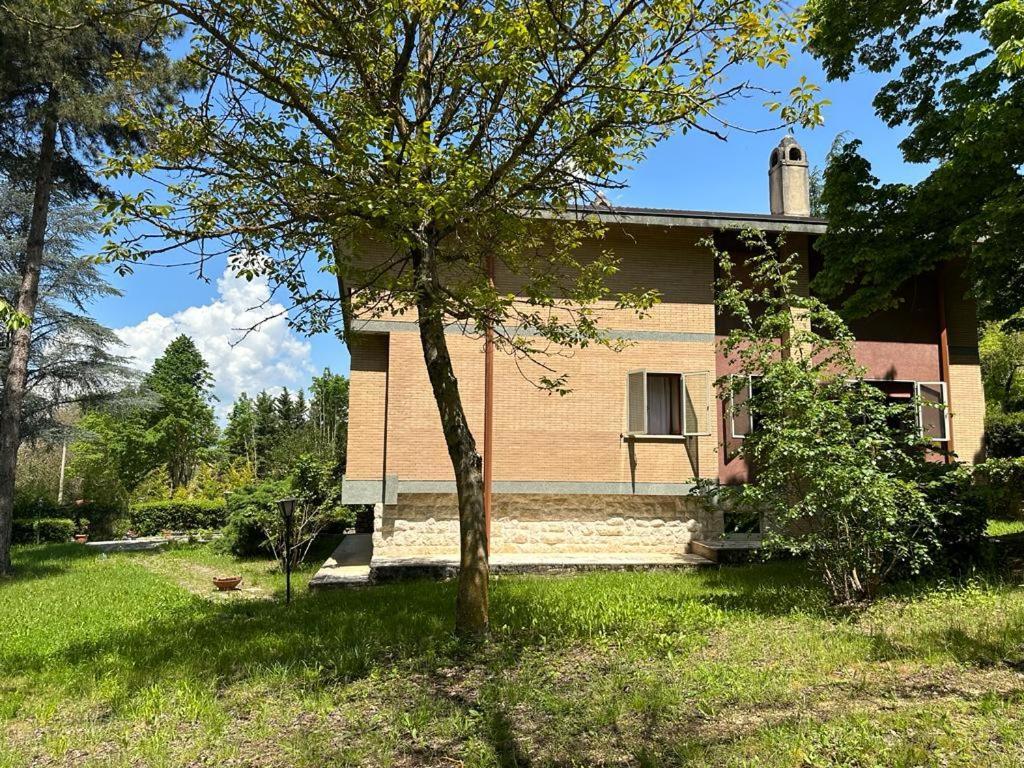 Villa Olga Cese Экстерьер фото